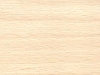 maple